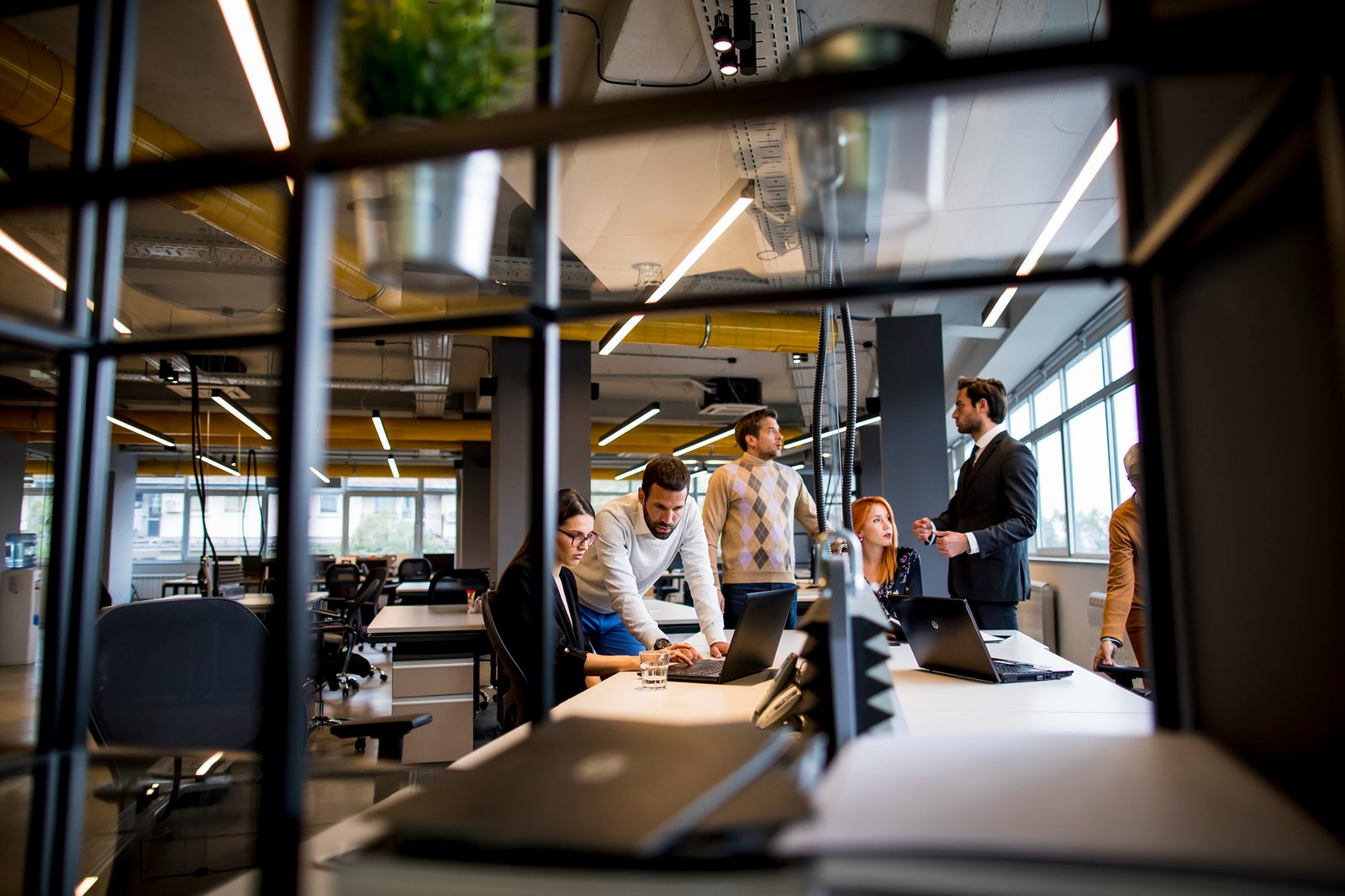 Team in a company office